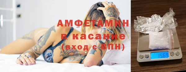 гидра Рославль