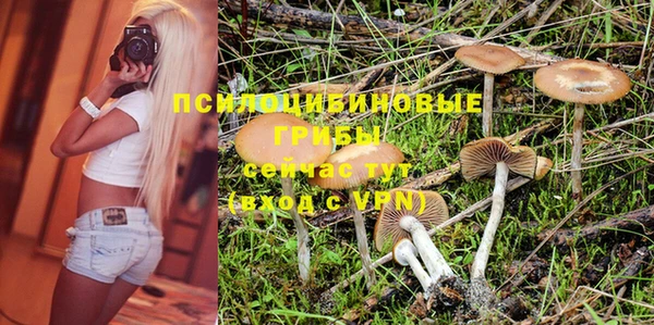 гидра Рославль