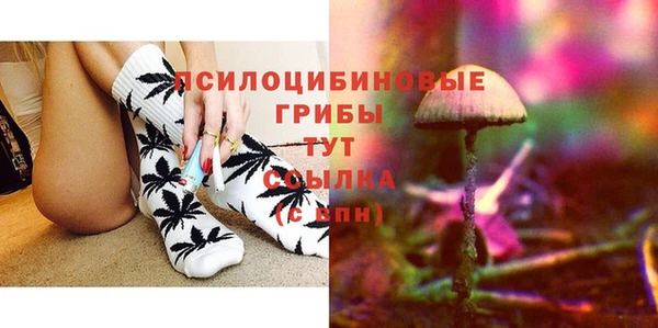 стафф Абаза