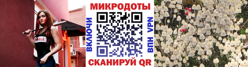 Псилоцибиновые грибы Psilocybine cubensis Волоколамск