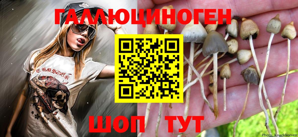 Галлюциногенные грибы MAGIC MUSHROOMS  Вход с VPN  Галлюциногенные грибы Magic Shrooms  Волоколамск 