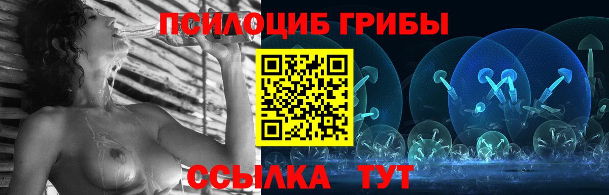 Псилоцибиновые грибы мицелий Волоколамск